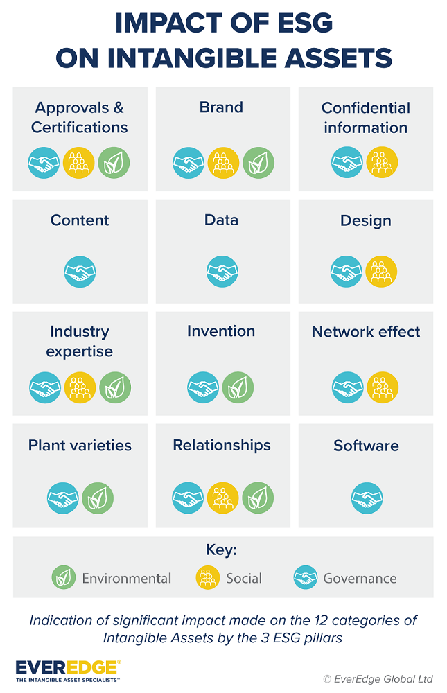 How companies can transform their ESG practices using intangible assets IAM
